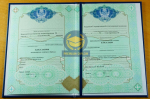 Бакалавр 2009 - 2026